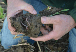 Green Farm Collective Summer Gathering 2025