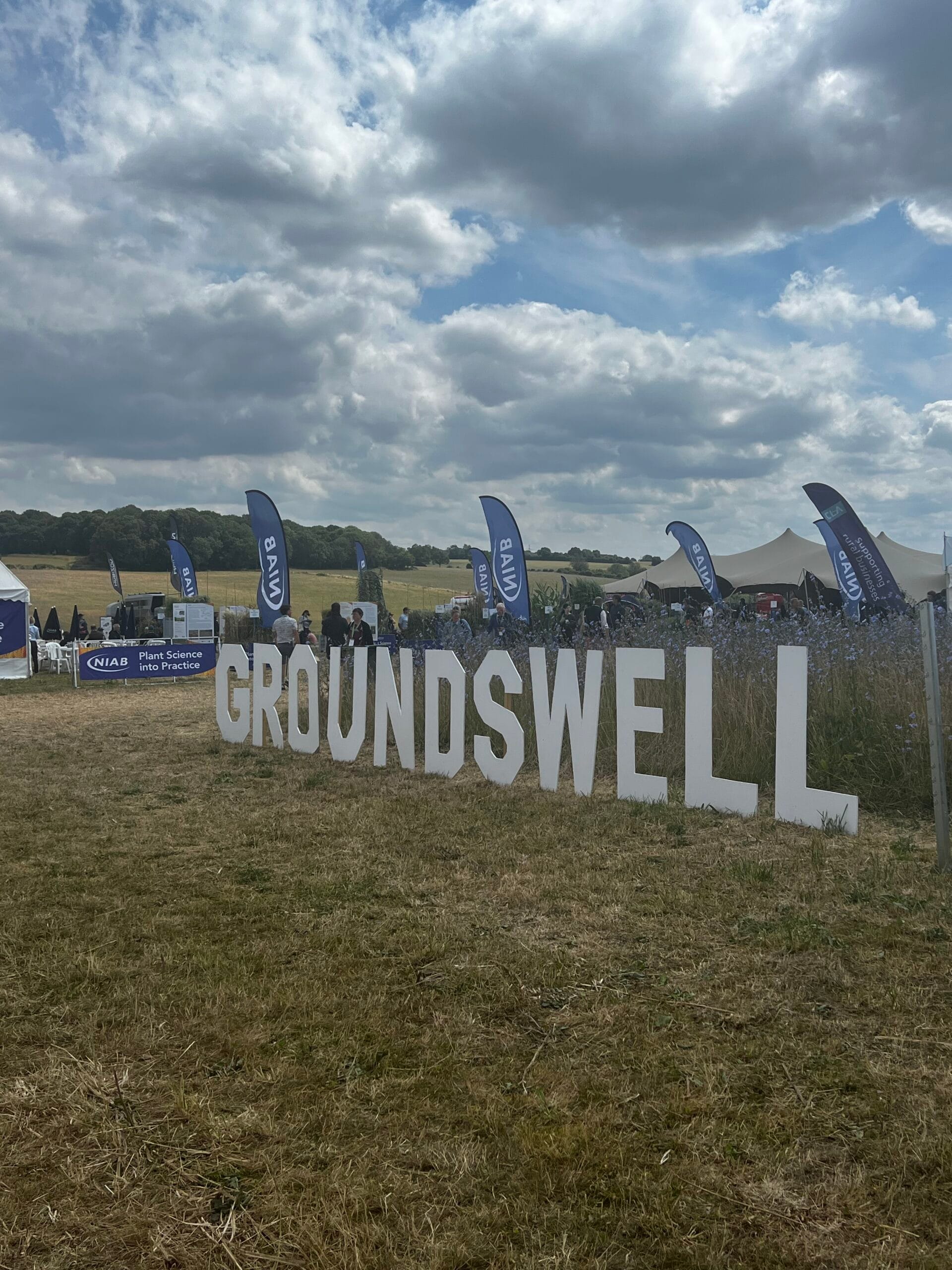 From Fife to Groundswell